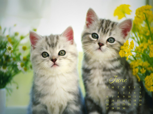 402467 (a): :1600x1200